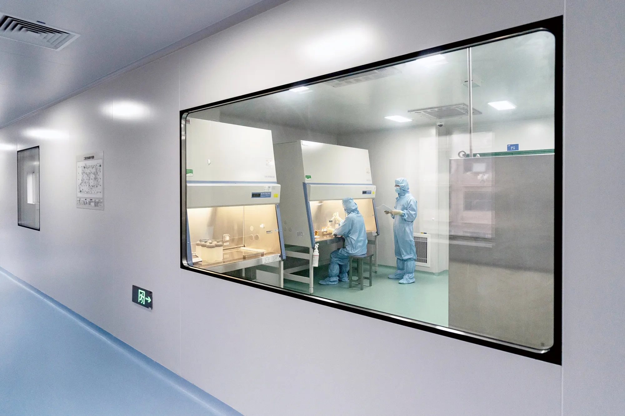 6 月 9 日，中国南京的 CAR-T 细胞疗法生产实验室。世界上最严格的监管机构越来越多地认为中国药物总体上很有前景，值得投入额外的资源来加快审查。